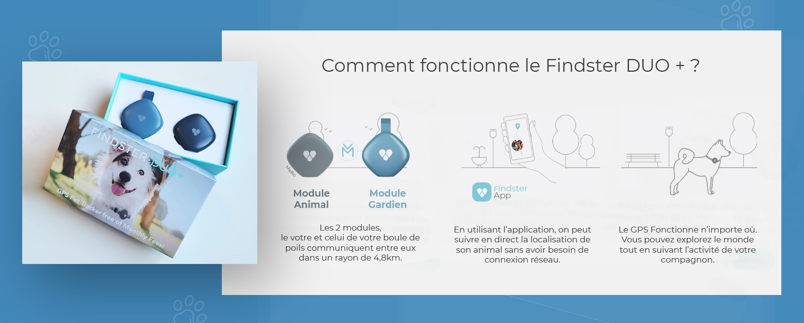 comment fonctionne le findster - Schéma